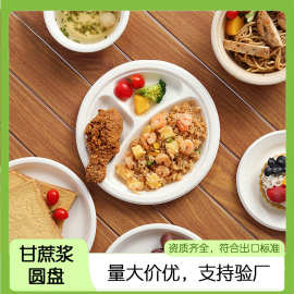 批发一次性纸盘纸碗甘蔗浆可降解烧烤生日蛋糕盘餐碗圆盘绘画盘子