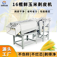 P SֱIrװƤC16װׄƤCѲо