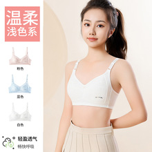 少女文胸学生内衣青春发育期夏季薄棉透气款带背钩二三阶段T6020
