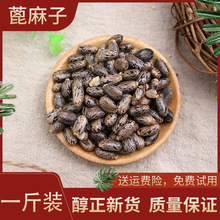 ��؛Ұ�������ӱ�����500�˰��]�t��������ș���ϱ����ʱ���N��