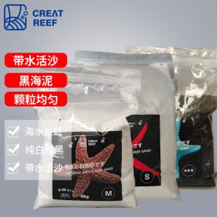 �ձ�CREAT REEF������ �yˮ��ɳϵ�м��׽���ɳ�ں���ɳ������Ⱥ