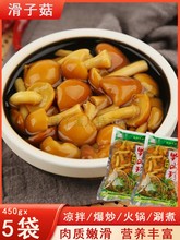 450g×5ӹ|خa 鹽ĢrbĢ