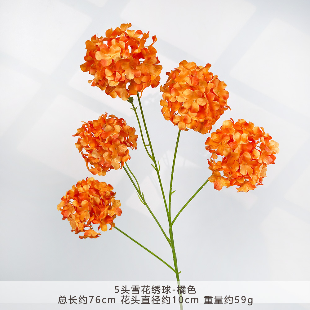 HXX-5 Bông Tuyết Hydrangea-Cam