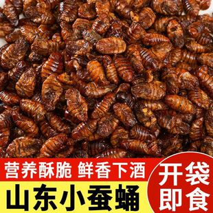 ɽ�|�خa�����QӼ�����QӼ�¾Ʋ����l�_����ʳ�����QӼ���r�QӼ�S