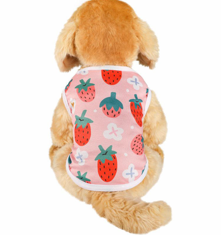 Mignon Tricoter Fraise Vêtements Pour Animaux De Compagnie display picture 6