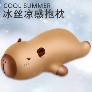 Ice Silk Pillow for Girls to Sleep with Legs Folded, Girl Sleeping Doll, Kidsren's Bed Companion Doll, Cool Feeling in Summer