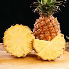 ������ר�������Ͻ������ 1300g~1500g/��*3��