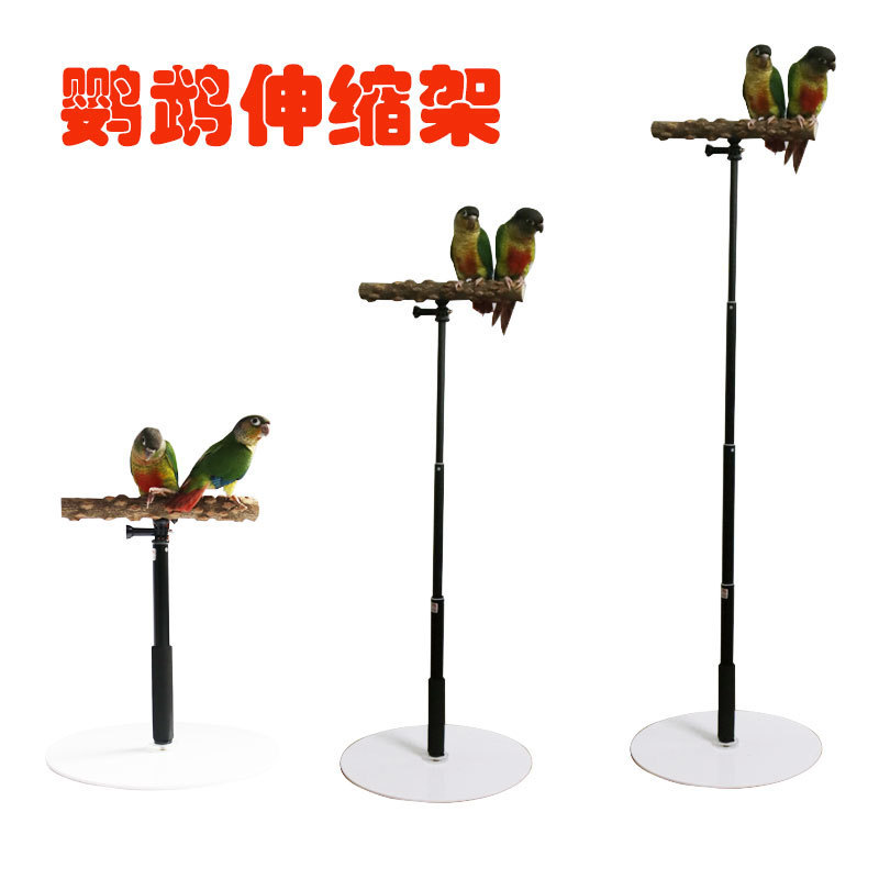 鳥外出架子鳥棲木花椒木站棒站杆伸縮架站架鳥籠便捷鸚鵡架子