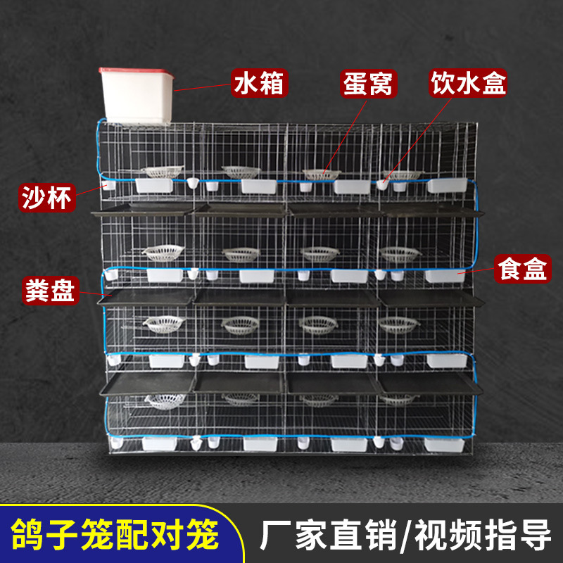 广旺丝网 批发鸽子笼  加粗16位鸽笼 养殖鸽子笼 4层16位鸽笼