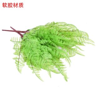 ܛ�z����ާ� 17�~�������Xާ��˹�� ����ֲ���ļt�U����ާ
