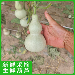 �r���J ��̖���JС���J�r���J �GƤ���Jī�G���J �F�ɬFժ