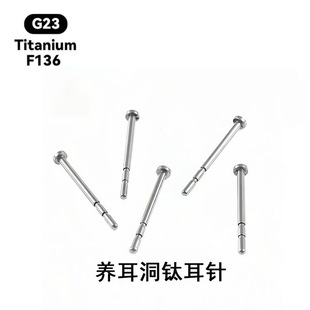 F136�t��⁺Ͻ��B�������Ů�B�������h��������t��ֲ�뼉⁶��