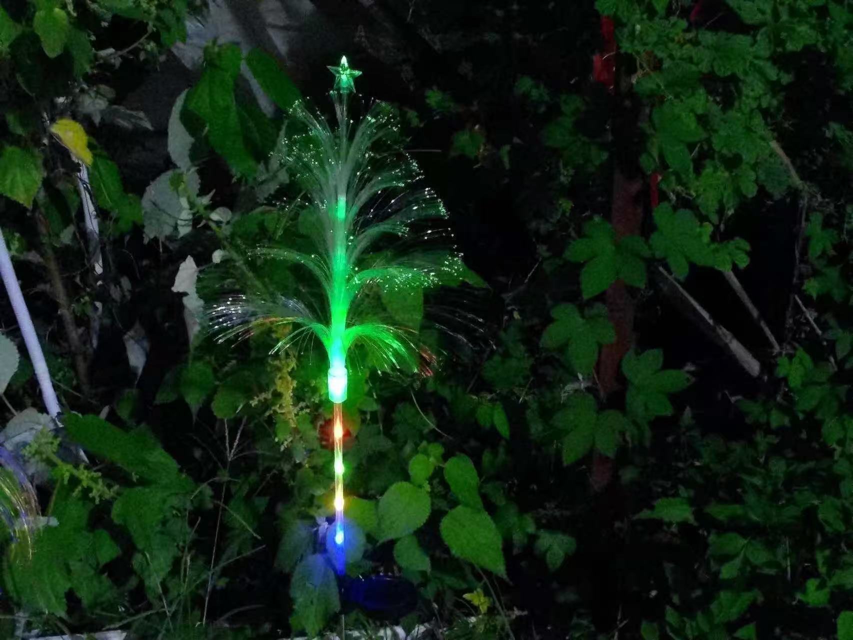 별이 있는 태양 해파리, 다채로운 그라데이션의 5겹(발광 막대)