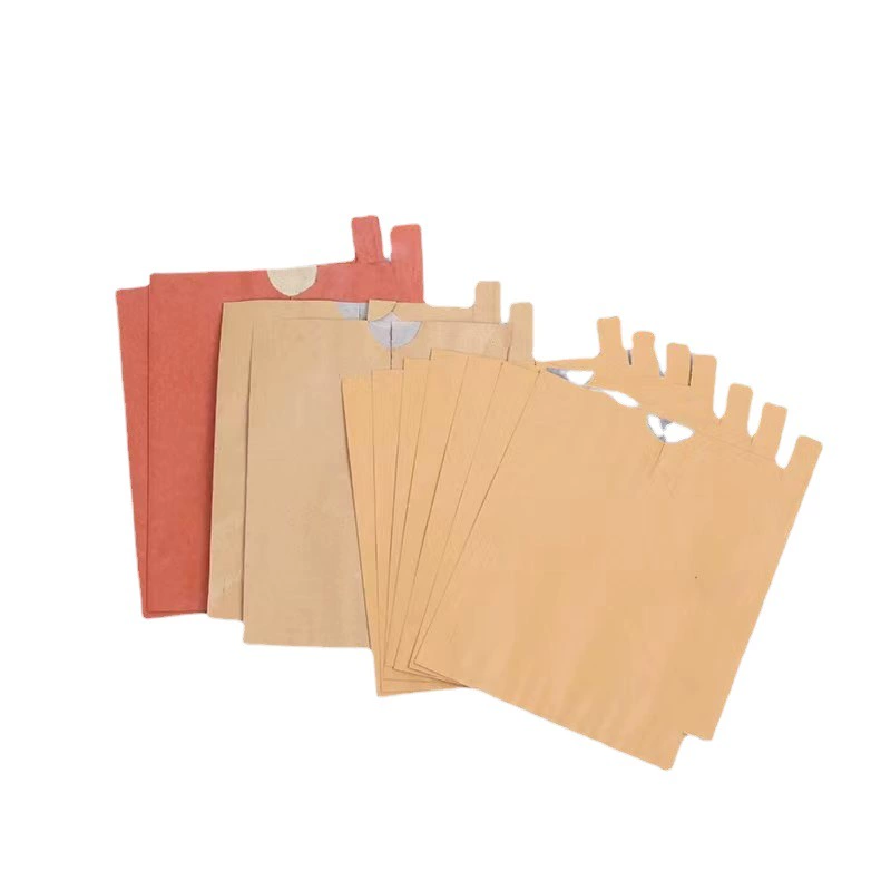 Мешок с фруктами для фруктов с манго-драконий мешок с большими скидками