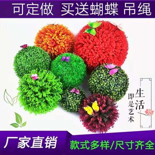 ����������ϻ��������m��ƺ���滨ֲ�����^�ݙ�������b���