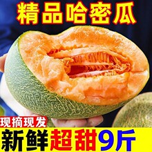 �Fժ���ܹ����rˮ���������۹Ϯ����ϝh�ϾW�y�����һ������]82