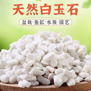 Gravel Succulent Paving Stone Pebbles Rain Flower Stone Fish Tank Landscaping Potted Courtyard Hydroponic Paving Natural White Stone
