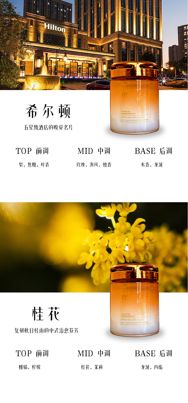 Car Fragrance Balm, New Solid Fragrance Balm for Use in Cars, Long-Lasting Fragrance, Odor Removal, Car Cup Holder Fragrance Balm