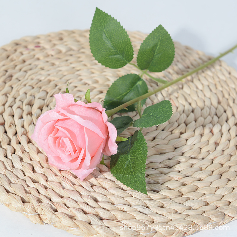 silk cloth coral powder