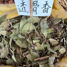 ͸����1�����ľ�� ͸�ǲ� �Mɽ�� ��Ʒ���]��؛