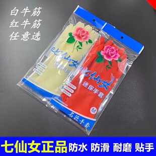 ����Ů�������׏N��ϴ�·��҄������zƤ��ˮ�坍�N�����z����