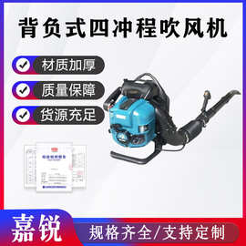积雪吹扫机背负式四冲程汽油吹风机BBX9900低配园林落叶吹叶