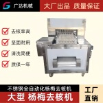 全自动水果脱核机 杨梅去核机 不锈钢机械设备可用于龙眼 钙果