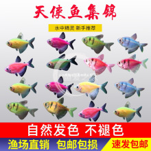 �ǹ���ʹ�߲���ʹ�~��̖���~�����~���ͻ�Ⱥ���~��С�͟Ꭷ�^�p�~