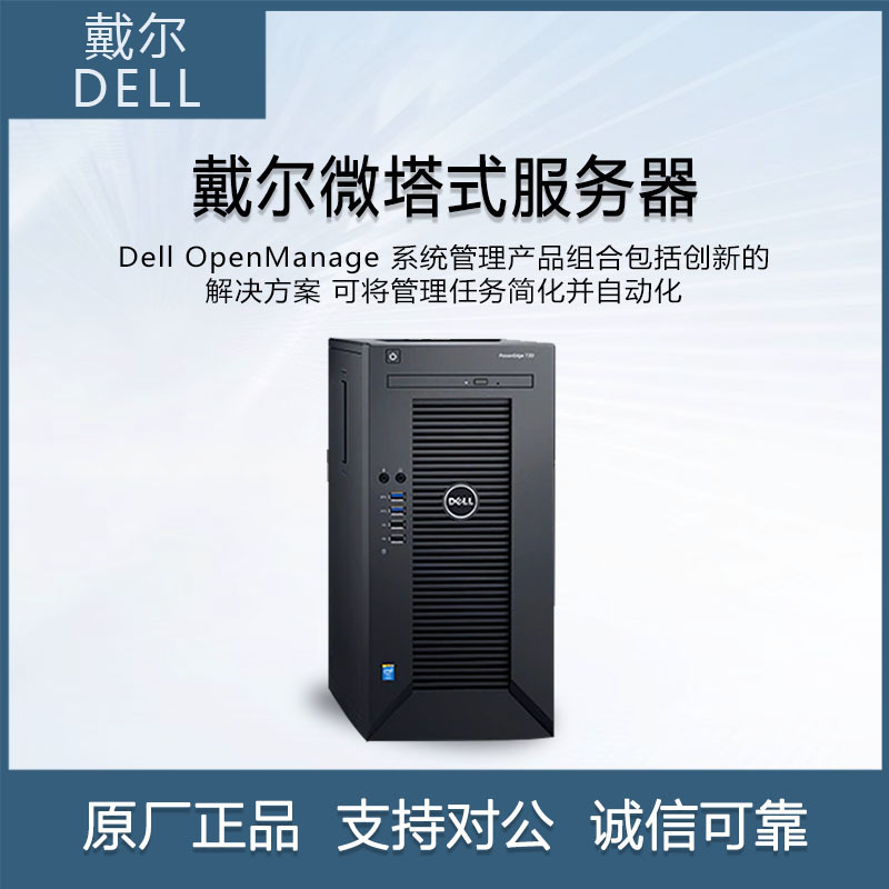 DELL/戴尔T30 4盘位NAS E3-1230 V5办公电脑塔式服务器