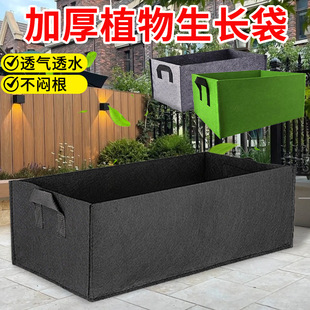 �羳���u��ֲ���߹�������o�����Nֲ��ͥԺ͸��Ӻ�o�����Nֲ��