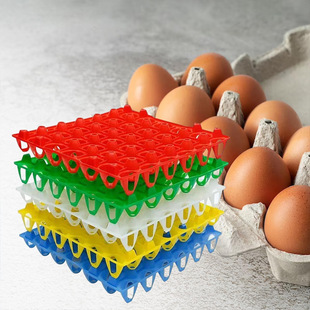 Multi Color Plastic Egg Holder Farm Egg Container Dedicated for Hatching Tray