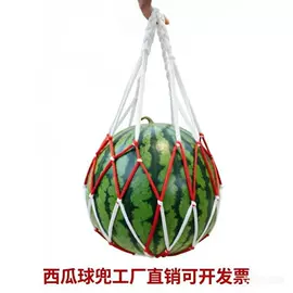 篮球架;篮球包/袋;乒乓球网