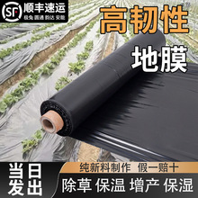 ڵĤȫϷĤݹ@rúɫĤ߲ϱĤӺ񱣜Ĥ