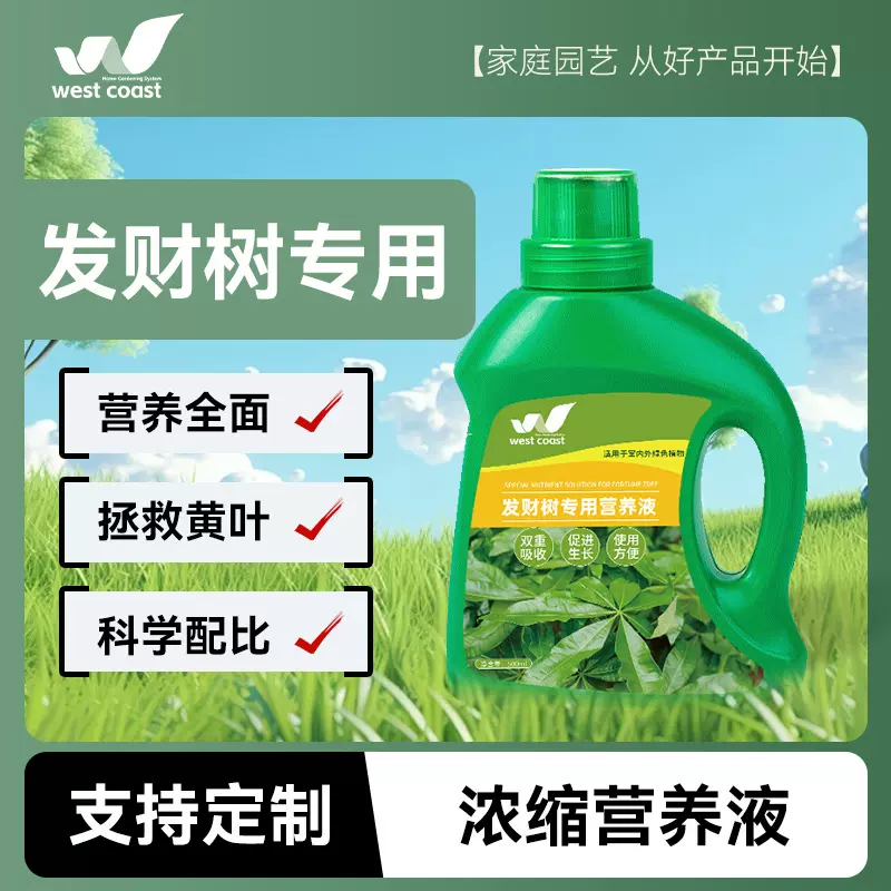 厂家定制发财树浓缩营养液盆栽幸福树绿植通用营养液