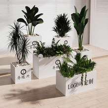 ����F���Fˇ����M�����������^�V��ͥԺ�̲�껨�۸���������[