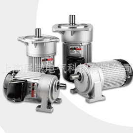 J230V18-200-20-S3(N1) LY马达 LUSON电机J230-200-S3-4
