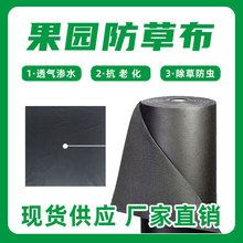 �F؛���ݲ����ݲ����l����������Ĥ���ݲ��S�����ͺ�ɫ���@�ڲݲ�