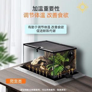 �����ӟ�|�ľ�з�،m����������߶��~�ׂ}�����n�a�ؿ؜ؼӟ��