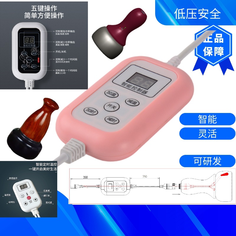 冷库智能温控器 2-8℃恒温 冷链仓储专用 防过热 厂家直接供应