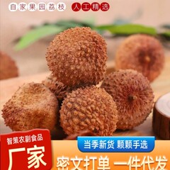 代发荔枝干新货0添加核小肉厚正宗农家特产皮薄肉厚荔枝干零食