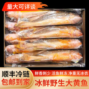 ���S���~���r������rС�S���~������~�S�~�����r�~���������