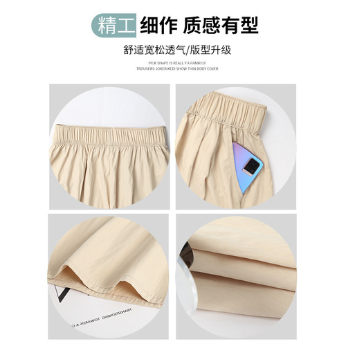 Women's Mountebank Skirt 2025 Summer Thin High-Waist Large Swing Umbrella Skirt Medium Long Length Petite Ice Silk Half Body Skirt