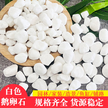 白色石子铺路造景白色鹅卵石胶粘石水磨石白石子白色砾石厂家批发