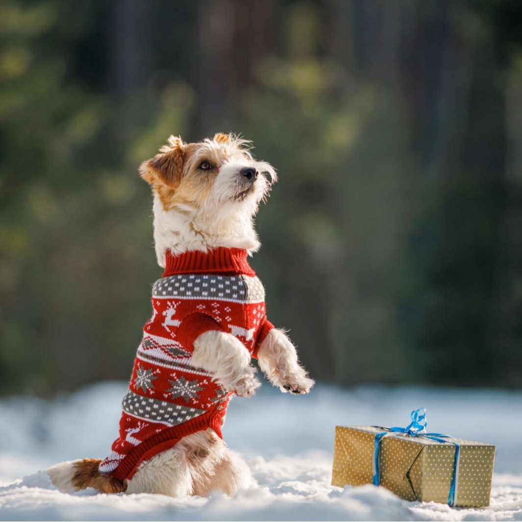Ropa de mascotas de Navidad Teddy Husky Labrador de pelo dorado británico suéter de invierno y otoño para mascotas suéter de aislamiento térmico