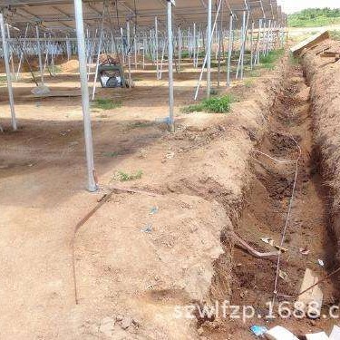 厂家大量供应镀铜钢接地绞线    铜覆钢接地线    耐腐蚀