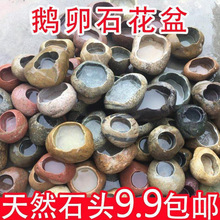 �Z��ʯ������Ȼʯ�^����ֲ�����͹��辰�[����ˮ���մɻ����~��