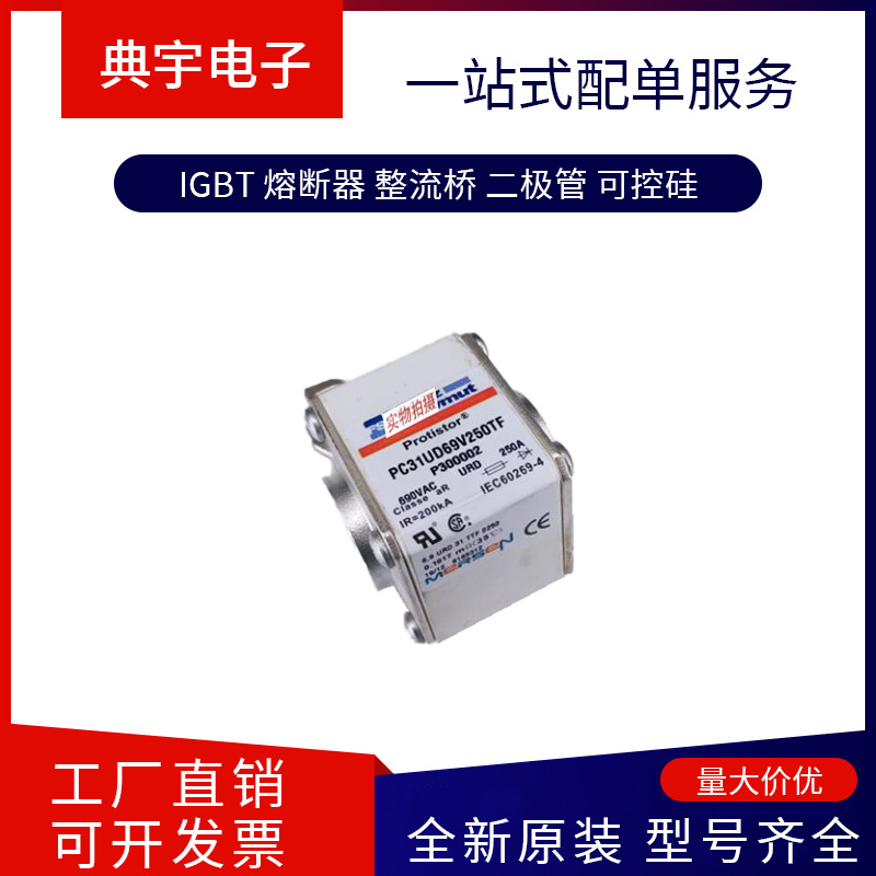 法国熔断器FR22AM69V16 FR22AM69V20 FR22AM69V25