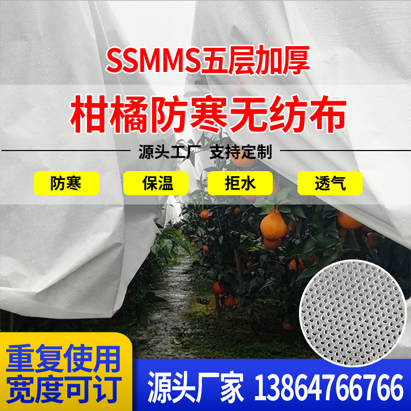 工厂直供柑橘防寒无纺布果树保温布透气农用无纺布防霜防冻拉力强