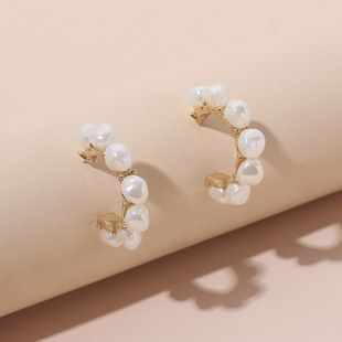Retro golden lion alloy earrings wholesale
