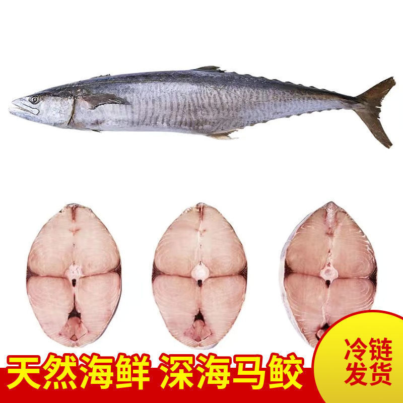 海南新鲜特大马鲛鱼片新鲜现切深海马鲛鱼片中段冰鲜冷冻水产批发